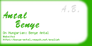 antal benye business card